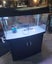 Aqua one 980 Carousel 1