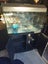 Aqua one 980 Carousel 5