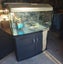 Aqua one 980 Carousel 6