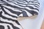 Pattern fabric Carousel 4