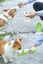 Pet Water Bottle & Food Treat Storage Container - Brand NEW Carousel 9