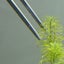 Spatula Tool Tweezers Aquarium Tank Scissor Stainless Steel 4 in 1 Aquatic Plant Carousel 6