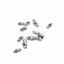 10x Holland Vertical Connector Roman Part Chain Cord Roller Blind Ball Joiner Carousel 2