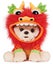 GUND Boo, The World? Cutest Dog Lunar New Year Dragon Plush Pomeranian Stuffed Carousel 1