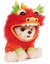 GUND Boo, The World? Cutest Dog Lunar New Year Dragon Plush Pomeranian Stuffed Carousel 2