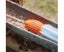 Gutter Cleaning Tool Roofing Guard Cleaner Drain Pipe Cleaning Nozzle Carousel 6