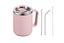 Stainless Steel Insulated Mug 450ml Coffee Mug with Handle Lid-Light pink Carousel 1