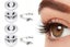4 Pairs Of Reusable Eyelashes With Eyelash Tweezers Eyelashes Kit-Style 2 Carousel 1