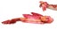 Loading Image 1 of 5