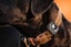 Silicone Case Compatible For Airtag Protective Dog Collar Holder Pet Collar For Carousel 7