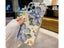 Slim Blu-ray Case Cover for iPhone 13 Pro Max with Camera Protector Flower Carousel 3