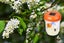 2Pcs Reusable Outdoor Garden Hanging Solar Powered Bee Trap Flying Insects Bee K Carousel 3