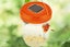 2Pcs Reusable Outdoor Garden Hanging Solar Powered Bee Trap Flying Insects Bee K Carousel 5