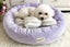 2Pcs Small Calming Dog Bed for Dogs Puppy Round Washable Pet Donut Bed For Cat-B Carousel 3
