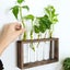 Wall Hanging Glass Planter Propagation Station Modern Test Tube Flower Vase Offi Carousel 4