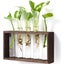 Wall Hanging Glass Planter Propagation Station Modern Test Tube Flower Vase Offi Carousel 6