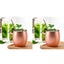2pcs Stainless Steel Moscow Mule Mugs 550ml Copper Plated Cups -Glossy Style and Carousel 5