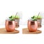 2pcs Stainless Steel Moscow Mule Mugs 550ml Copper Plated Cups -Glossy Style and Carousel 2