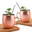 2pcs Stainless Steel Moscow Mule Mugs 550ml Copper Plated Cups -Glossy Style and Carousel 1