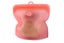 Dishwasher Safe Reusable Storage Bags fresh-keeping bag-Red Carousel 1
