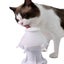 Puppy Milk Feeder with 5 Nipples and Base Bowl Feeder for Kitten Newborn Pets-Wh Carousel 4