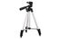 Adjustable Phone and Camera Tripod Portable Stand for Photography and Video Reco Carousel 10