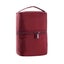 Travel Cosmetic Bag -Red Carousel 1