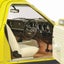 1/18 Ford XC SUNDOWNER Panel Van PINE 'N' LIME Carousel 4