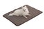 Summer Cooling Mat Sleeping Pad Waterproof for Pets Kids and Adults-Brown Carousel 1