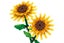 2Pcs Flower Building Block Kit Artificial Flowers Building Sets-Sunflower Carousel 3