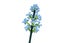 2Pcs Flower Building Block Kit Artificial Flowers Building Sets-Babysbreath Carousel 3