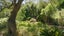 gallery view thumbnail