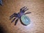 Sterling Silver and Prehnite Spider Brooch Carousel 3