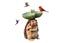 Loading Image 1 of 4