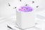 2Pcs Electric Mosquito Killer Purple Lamp Mozzie Fly Trap Insect Bug Zapper Catc Carousel 4