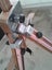 Loading Image 1 of 11