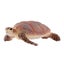 Loading Image 1 of 5