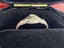 17th century fede ring-rare and exciting find Carousel 9
