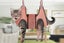 Small Pet Grooming Sling Hammock Dog Cat Restraint Bag For Bathing Trimming Nail Carousel 3
