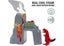 BRIO - Dinosaur Erupting Volcano 5 pieces Carousel 5
