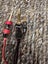 AudioQuest Rocket 33 speaker cables Carousel 6