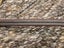 AudioQuest Rocket 33 speaker cables Carousel 7