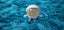 Nickolodean Spongebob Squarepants Soft Toys & Figurine Carousel 9