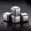 Stainless Steel ICE Cube Set Carousel 4