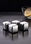 Stainless Steel ICE Cube Set Carousel 6