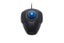 Kensington Orbit Optical Mouse Trackball Scroll Ring Wrist Rest Carousel 2