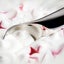 Alessi Koki Ice Cream Scoop Carousel 4