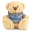 My Buddy Bear Kids Toddler 23cm Soft Hoodie Plush Stuffed Animal Toys 3y+ Brown Carousel 1