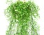 Utomhus Konstgjorda Falska Hngande Blomma Vinstockar Decor Rose Red 1 Pc Carousel 4