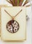 Circle Necklace - Pacific (Printed MOP) Carousel 1